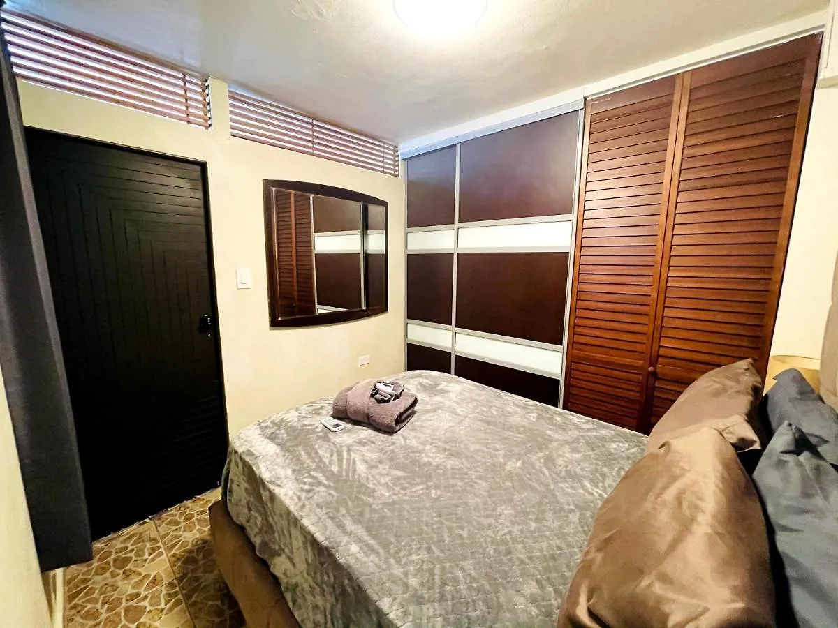 Cozy Studio Retreat With Private Parking And Free Laundry Apartment Ponce